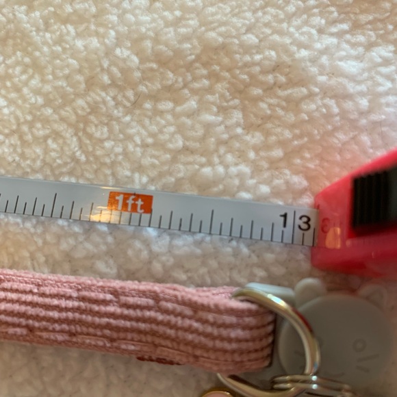 Cat Collars Bundle - Picture 11 of 11